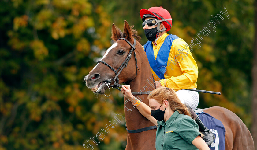 Quemonda-0002 
 QUEMONDA (Mohammed Tabti)
Lingfield 7 Sep 2020 - Pic Steven Cargill / Racingfotos.com