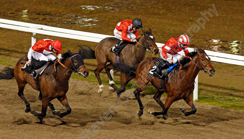 La-Tihaty-0010 
 LA TIHATY (Cameron Noble) beats ROGUE FORCE (left) in The Support The Injured Jockeys Fund Novice Stakes
Chelmsford 22 Jan 2021 - Pic Steven Cargill / Racingfotos.com