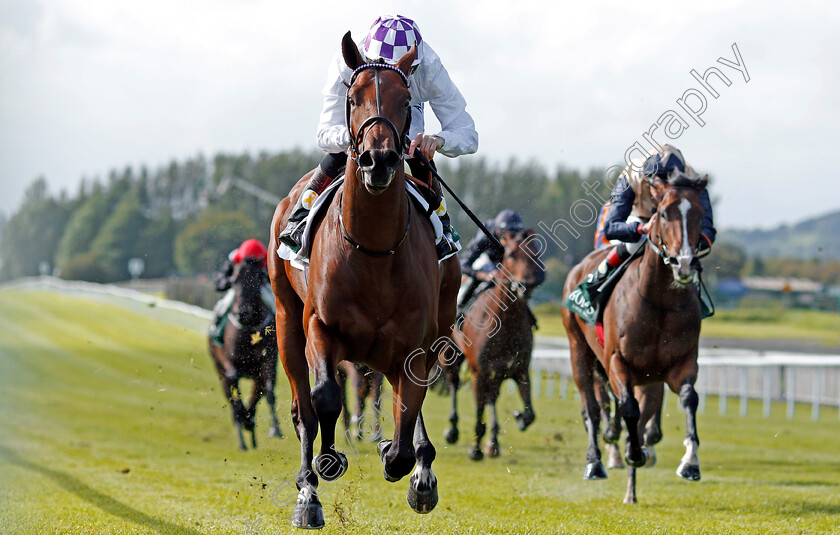 Verbal-Dexterity-0005 
 VERBAL DEXTERITY (Kevin Manning) wins The Goffs Vincent O'Brien National Stakes Curragh 10 Sep 2017 - Pic Steven Cargill / Racingfotos.com