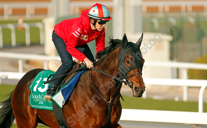 Vin-De-Garde-0001 
 VIN DE GARDE training for The Saudi Cup
King Abdulaziz Racecourse, Kingdom of Saudi Arabia, 22 Feb 2023 - Pic Steven Cargill / Racingfotos.com