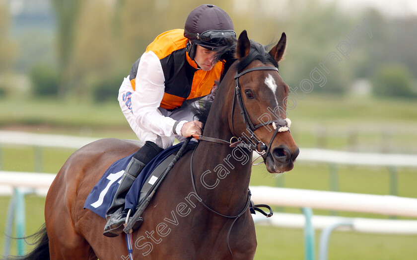 Revamp-0002 
 REVAMP (Tom Eaves)
Southwell 29 Apr 2019 - Pic Steven Cargill / Racingfotos.com