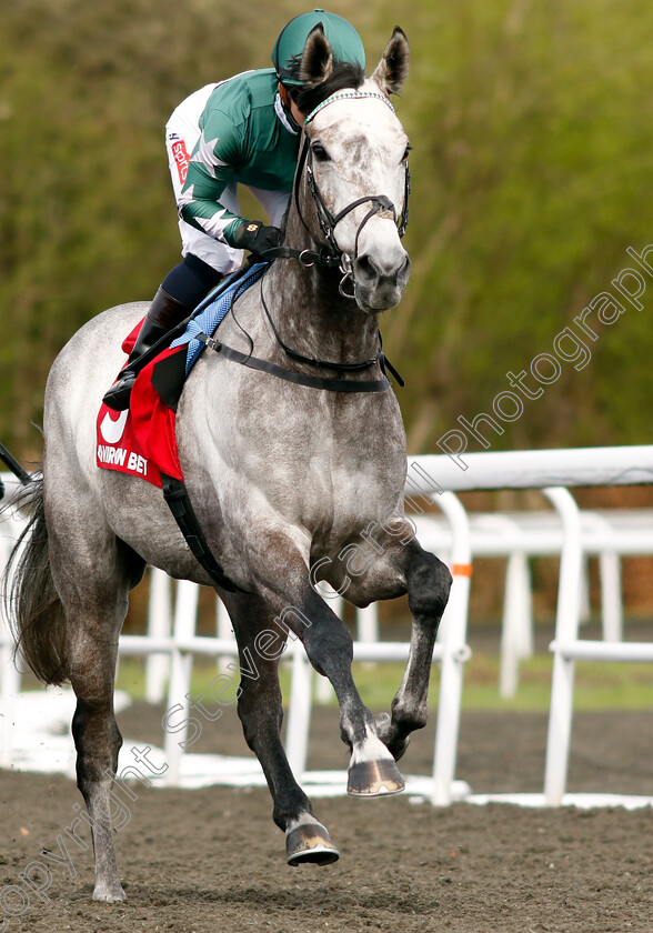 Intinso-0003 
 INTINSO (Hollie Doyle)
Kempton 6 Apr 2024 - Pic Steven Cargill / Racingfotos.com