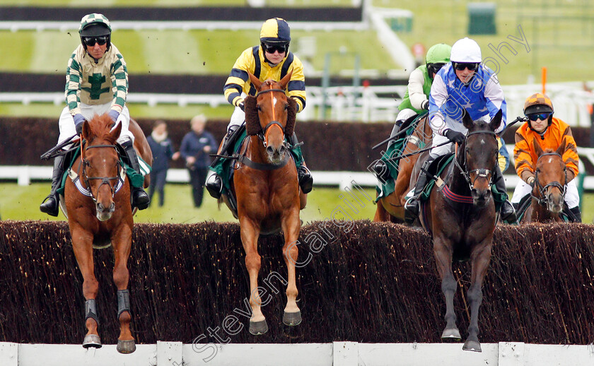 Master-Sunrise-0001 
 FINDLAY'S FIND (left) MASTER SUNRISE (centre) and MINELLA FRIEND (right) Cheltenham 4 May 2018 - Pic Steven Cargill / Racingfotos.com