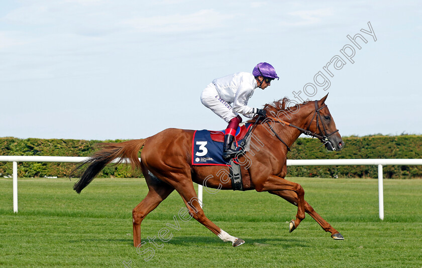 Onesto-0001 
 ONESTO (Frankie Dettori)
Leopardstown 9 Sep 2023 - Pic Steven Cargill / Racingfotos.com