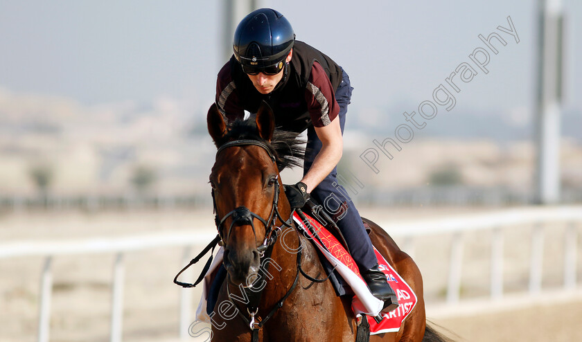 Lead-Artist-0003 
 LEAD ARTIST training for the Bahrain International Trophy
Kingdom of Bahrain 14 Nov 2024 - Pic Steven Cargill / Racingfotos.com