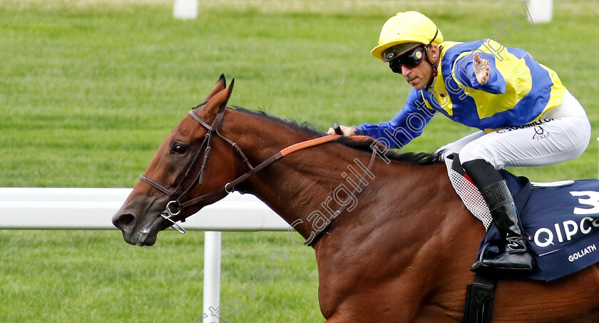 Goliath-0003 
 GOLIATH (Christophe Soumillon) wins The King George VI and Queen Elizabeth Stakes
Ascot 27 Jul 2024 - Pic Steven Cargill / Racingfotos.com