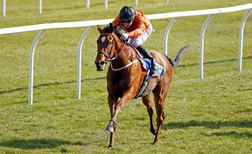 Kingmania-0004 
 KINGMANIA (Pat Cosgrave) wins The leicester-racecourse.co.uk Handicap
Leicester 24 Apr 2021 - Pic Steven Cargill / Racingfotos.com