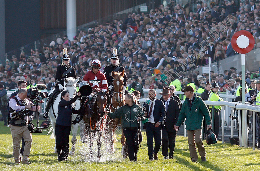 Tiger-Roll-0012 
 TIGER ROLL (Davy Russell) after The Randox Health Grand National 
Aintree 6 Apr 2019 - Pic Steven Cargill / Racingfotos.com