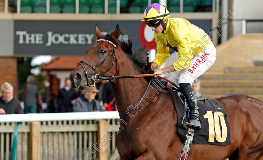 My-Prospero 
 MY PROSPERO (Tom Marquand)
Newmarket 20 Oct 2021 - Pic Steven Cargill / Racingfotos.com