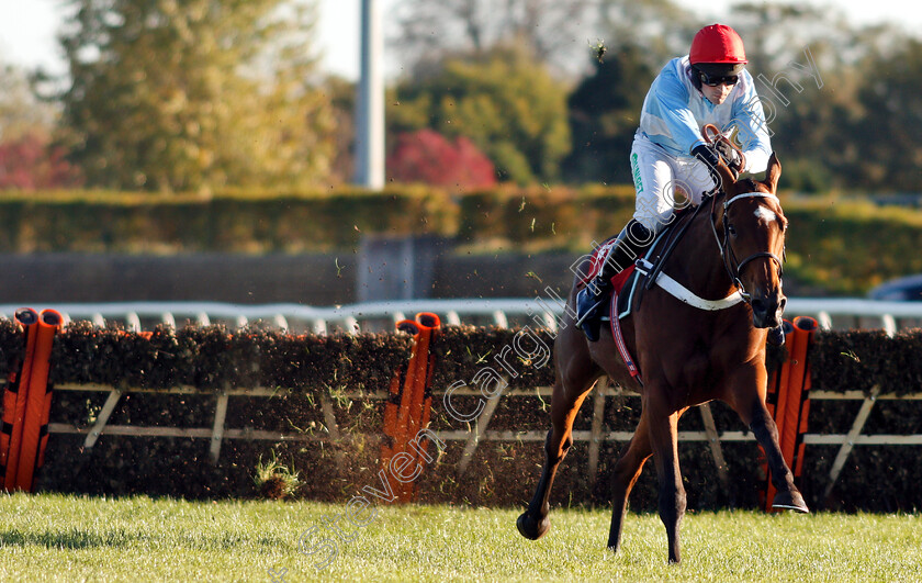 Verdana-Blue-0005 
 VERDANA BLUE (Nico De Boinville) wins The Matchbook VIP Hurdle
Kempton 21 Oct 2018 - Pic Steven Cargill / Racingfotos.com