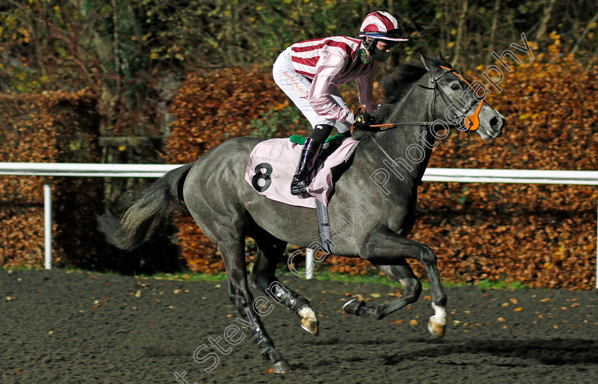 Shimla-Rolann-0001 
 SHIMLA ROLANN (Rossa Ryan)
Kempton 2 Dec 2020 - Pic Steven Cargill / Racingfotos.com