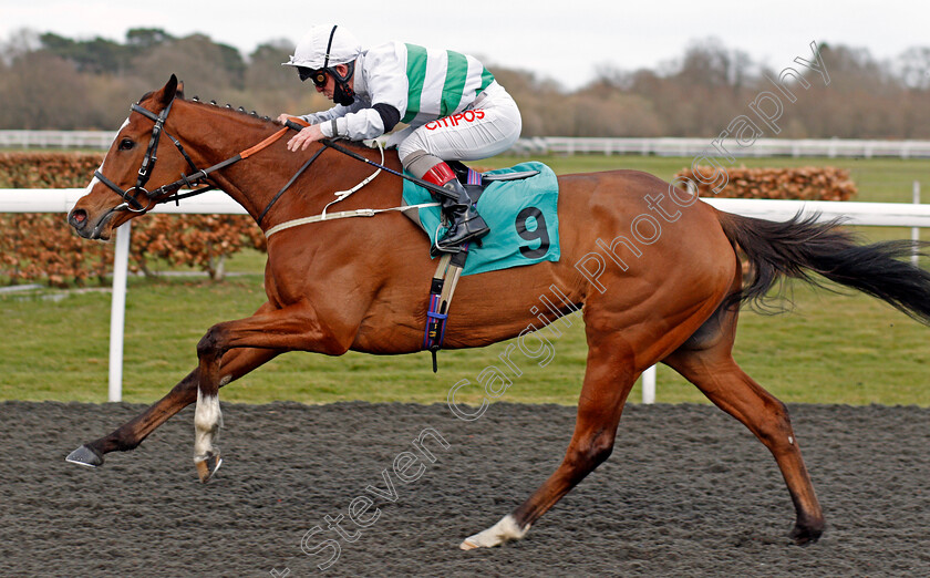 Aventuriere-0001 
 AVENTURIERE (Franny Norton) wins The Play Ladbrokes 1-2-Free On Football Handicap Div1
Kempton 27 Mar 2021 - Pic Steven Cargill / Racingfotos.com