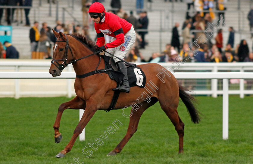 Lady-Jago-0002 
 LADY JAGO (Harry Skelton)
Ascot 17 Feb 2024 - Pic Steven Cargill / Racingfotos.com