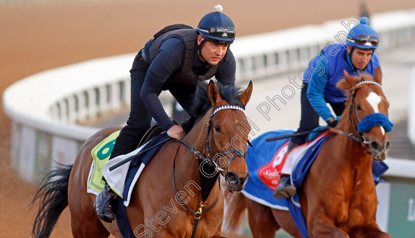 Missed-The-Cut-0001 
 MISSED THE CUT training for The Neom Turf Cup
King Abdulaziz Racecourse, Kingdom of Saudi Arabia, 22 Feb 2023 - Pic Steven Cargill / Racingfotos.com