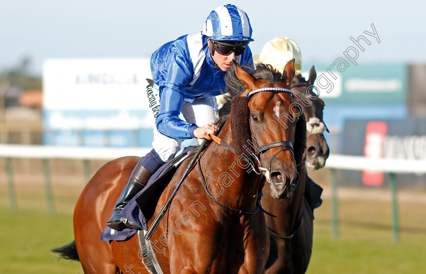 Majaalis-0004 
 MAJAALIS (Jim Crowley) wins The Dennis Barrett Jolly Boys Outing Handicap
Yarmouth 18 Sep 2019 - Pic Steven Cargill / Racingfotos.com