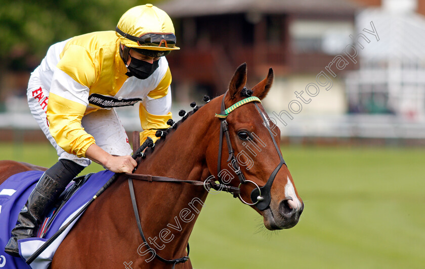 Wobwobwob-0002 
 WOBWOBWOB (Tom Marquand)
Haydock 22 May 2021 - Pic Steven Cargill / Racingfotos.com