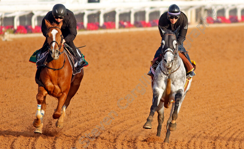 Derma-Sotogake-and-Ryuno-Yukina-0001 
 DERMA SOTOGAKE (left) training for The Saudi Derby and RYUNO YUKINA (right) training for The Riyadh Dirt Sprint.
King Abdulaziz Racecourse, Kingdom of Saudi Arabia, 22 Feb 2023 - Pic Steven Cargill / Racingfotos.com