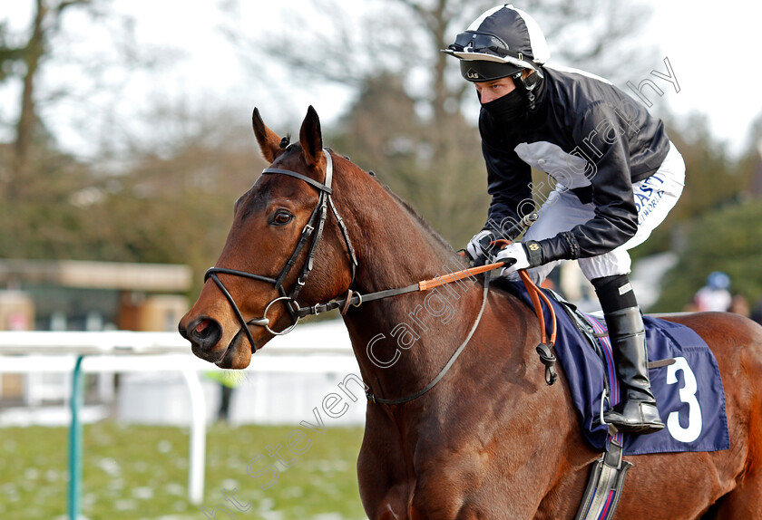 Lammas-0001 
 LAMMAS (Luke Morris)
Lingfield 13 Feb 2021 - Pic Steven Cargill / Racingfotos.com