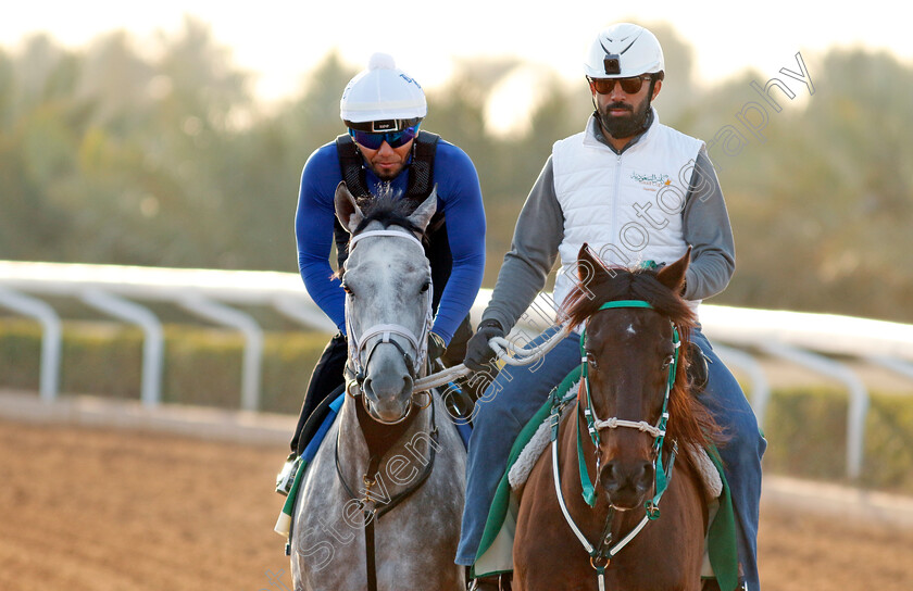 Saudi-Crown-0001 
 SAUDI CROWN training for The Saudi Cup
King Abdulaziz Racecourse, Saudi Arabia 21 Feb 2024 - Pic Steven Cargill / Racingfotos.com