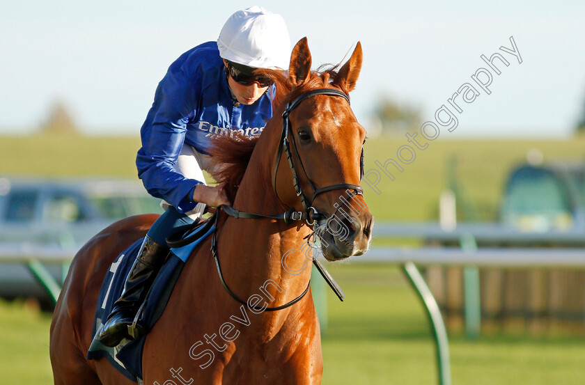 Perseus-Way-0001 
 PERSEUS WAY (William Buick)
Newmarket 20 Oct 2021 - Pic Steven Cargill / Racingfotos.com