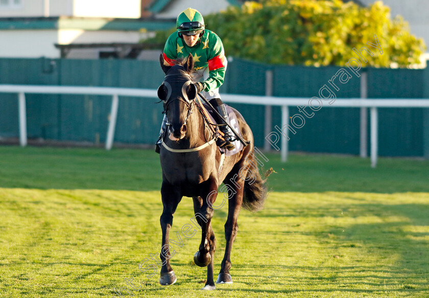 Eljaytee-0001 
 ELJAYTEE (Faye McManoman)
Yarmouth 18 Oct 2022 - Pic Steven Cargill / Racingfotos.com