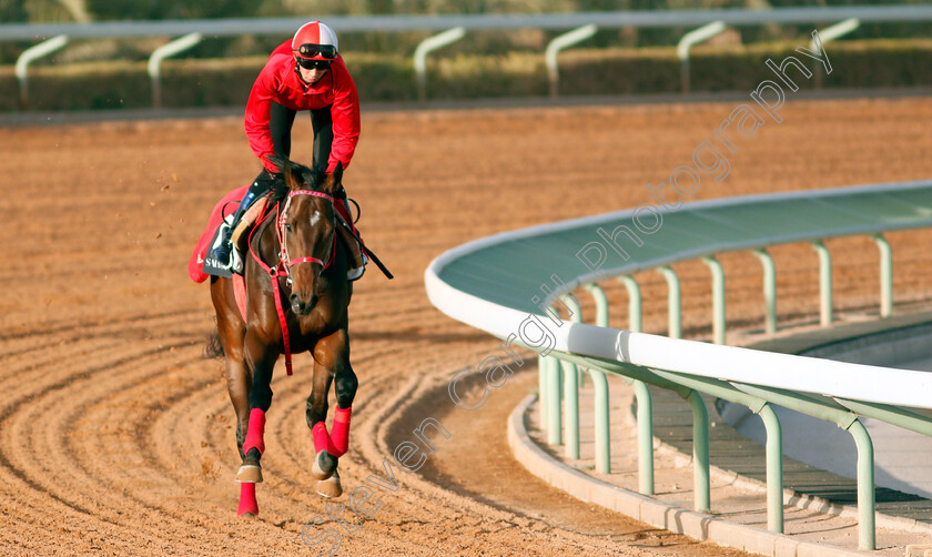 Full-Flat-0001 
 FULL FLAT preparing for the Saudi Derby
Riyadh Racecourse, Kingdom of Saudi Arabia 26 Feb 2020 - Pic Steven Cargill / Racingfotos.com