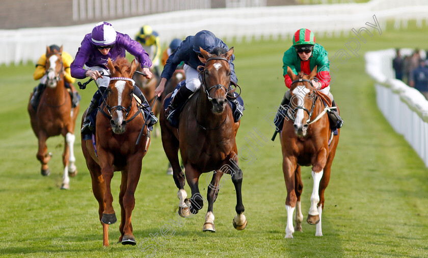 Temple-Of-Artemis-0004 
 TEMPLE OF ARTEMIS (centre, Ryan Moore) beats MR ALAN (left) in The Roofing Consultants Group Handicap
Chester 5 May 2022 - Pic Steven Cargill / Racingfotos.com