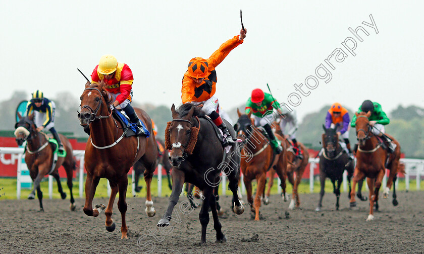 Evening-Hill-0004 
 EVENING HILL (right, Shane Kelly) beats PEACE AND PLENTY (left) in The Matchbook Betting Exchange Handicap Kempton 25 Sep 2017 - Pic Steven Cargill / Racingfotos.com