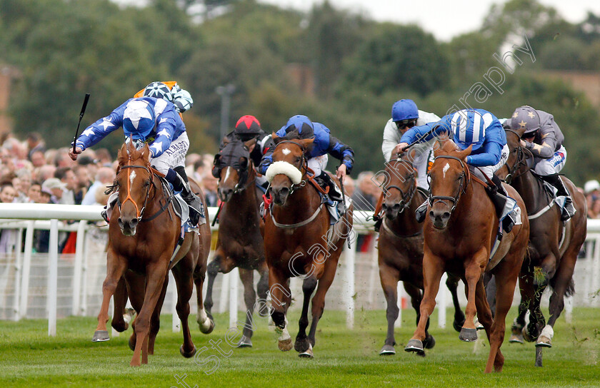 Ginger-Nut-0003 
 GINGER NUT (left, Oisin Murphy) beats MOYASSAR (right) in The Sky Bet Nursery
York 22 Aug 2018 - Pic Steven Cargill / Racingfotos.com