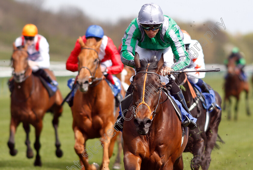 King-Of-Change-0004 
 KING OF CHANGE (Sean Levey) wins The Introducing Racing TV Novice Stakes
Nottingham 10 Apr 2019 - Pic Steven Cargill / Racingfotos.com