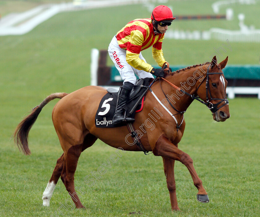 Jarveys-Plate-0001 
 JARVEYS PLATE (Paddy Brennan) winner of The Ballymore Novices Hurdle
Cheltenham 1 Jan 2019 - Pic Steven Cargill / Racingfotos.com