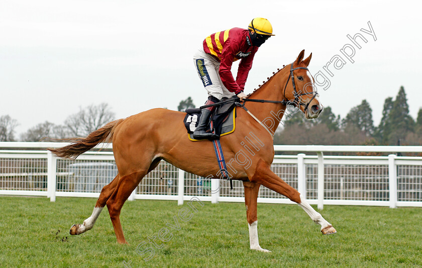 One-True-King-0002 
 ONE TRUE KING (Sam Twiston-Davies)
Ascot 20 Feb 2021 - Pic Steven Cargill / Racingfotos.com