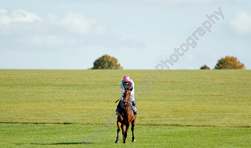 Time-Lock-0009 
 TIME LOCK (Ryan Moore) winner of The Princess Royal Al Basti Equiworld Dubai Stakes
Newmarket 29 Sep 2023 - Pic Steven Cargill / Racingfotos.com