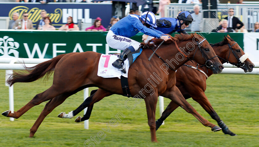 Mutamaasik-0002 
 MUTAMAASIK (Jim Crowley) beats THE GREAT HEIR (farside) in The DFS Handicap
Doncaster 12 Sep 2019 - Pic Steven Cargill / Racingfotos.com