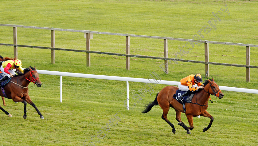 Bold-Decision-0004 
 BOLD DECISION (Hector Crouch) wins The visitbath.co.uk Classified Stakes
Bath 18 Jul 2020 - Pic Steven Cargill / Racingfotos.com