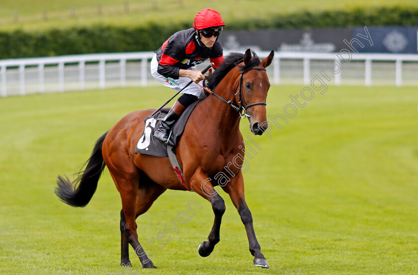 Rare-Change-0001 
 RARE CHANGE (Finley Marsh)
Goodwood 9 Jun 2024 - Pic Steven Cargill / Racingfotos.com