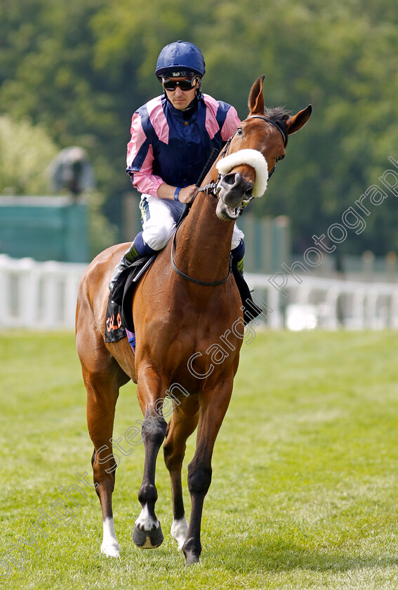 Statement-0001 
 STATEMENT (Kevin Stott)
Epsom 4 Jun 2022 - Pic Steven Cargill / Racingfotos.com