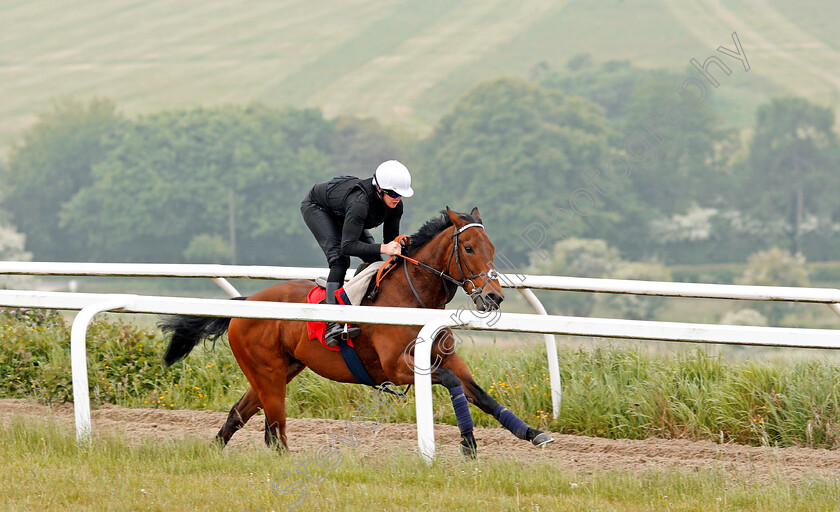 Battaash-0003 
 BATTAASH (Michael Murphy) exercising on the gallops of Charlie Hills, Lambourn 23 May 2018 - Pic Steven Cargill / Racingfotos.com