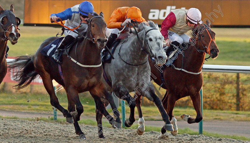 Chitra-0002 
 CHITRA (left, Richard Kingscote) beats SOMETHING LUCKY (centre) and THREE LITTLE BIRDS (right) in The Betway Live Casino Handicap
Lingfield 9 Dec 2019 - Pic Steven Cargill / Racingfotos.com