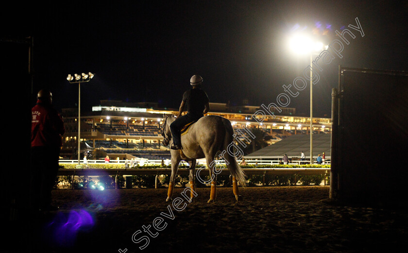 Del-Mar-0001 
 Training in the dark for The Breeders' Cup at Del Mar 2 Nov 2017 - Pic Steven Cargill / Racingfotos.com