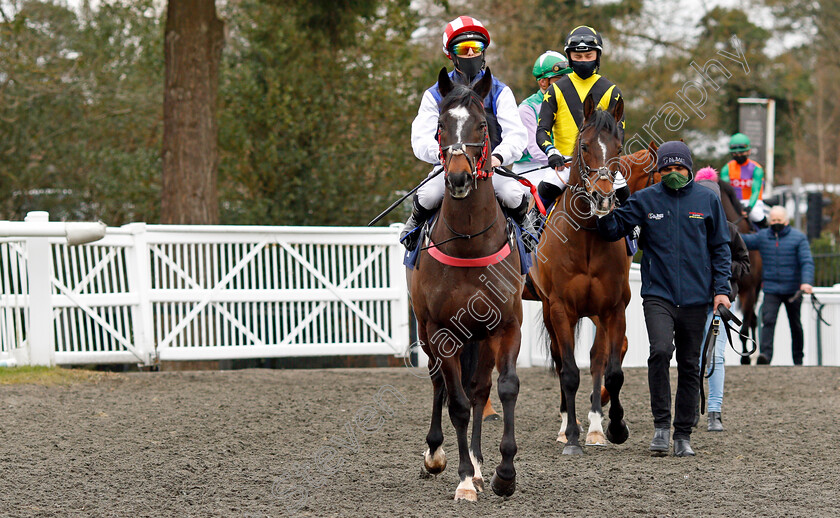 Marnie-James-0001 
 MARNIE JAMES (Ben Curtis)
Lingfield 6 Mar 2021 - Pic Steven Cargill / Racingfotos.com