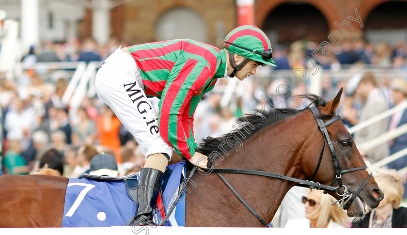 Okita-Soushi-0002 
 OKITA SOUSHI (M P Sheehy)
York 20 Aug 2022 - Pic Steven Cargill / Racingfotos.com