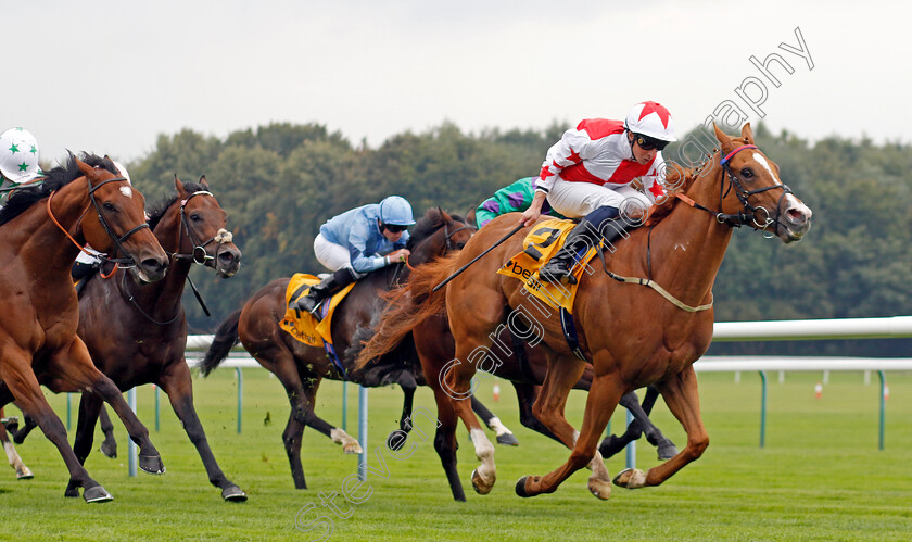 Holloway-Boy-0003 
 HOLLOWAY BOY (William Buick) wins The Betfair Superior Mile Stakes
Haydock 7 Sep 2024 - Pic Steven Cargill / Racingfotos.com