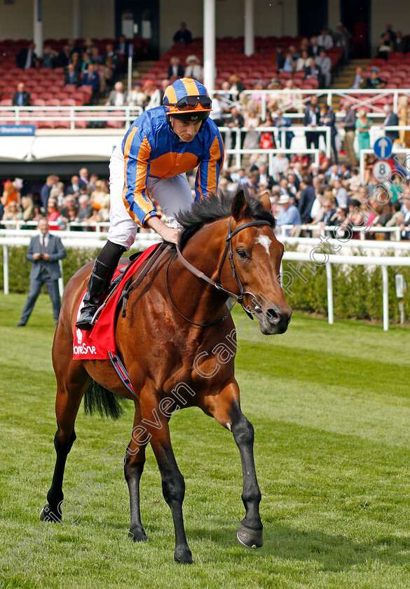 Star-Of-India-0001 
 STAR OF INDIA (Ryan Moore) winner of The Homeserve Dee Stakes
Chester 5 May 2022 - Pic Steven Cargill / Racingfotos.com