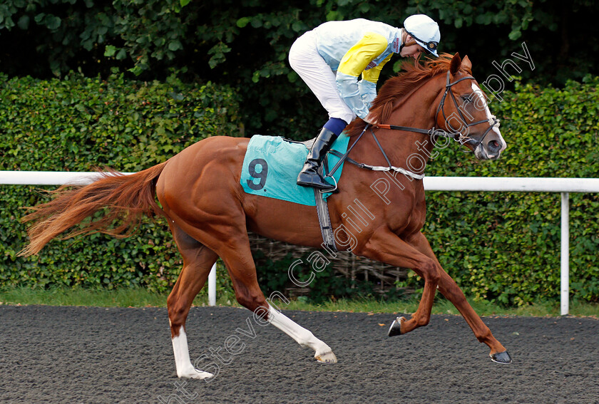 Pavlodar-0001 
 PAVLODAR (Hector Crouch)
Kempton 3 Sep 2021 - Pic Steven Cargill / Racingfotos.com