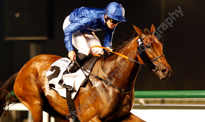 Promising-Run-0007 
 PROMISING RUN (Pat Cosgrave) wins The Cape Verdi Stakes Meydan 25 Jan 2018 - Pic Steven Cargill / Racingfotos.com