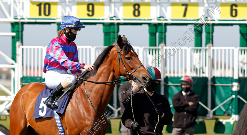 Tynecastle-Park-0007 
 TYNECASTLE PARK (Molly Presland)
Yarmouth 19 May 2021 - Pic Steven Cargill / Racingfotos.com