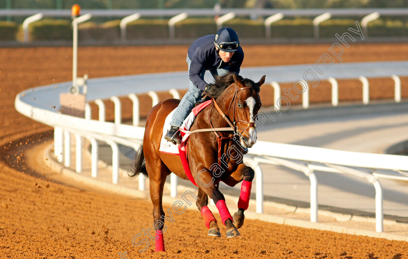 Ginobili-0002 
 GINOBILI training for The Dirt Sprint
King Abdulaziz Racetrack, Riyadh, Saudi Arabia 22 Feb 2022 - Pic Steven Cargill / Racingfotos.com