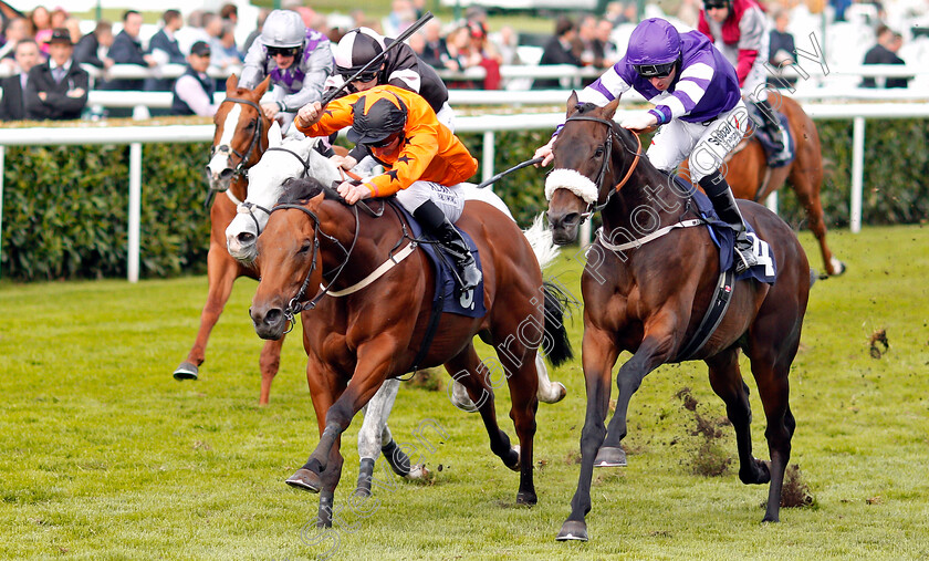 Dougan-and-Muntadab-0001 
 DOUGAN (left, Adam Kirby) and MUNTADAB (right) Doncaster 15 Sep 2017 - Pic Steven Cargill / Racingfotos.com