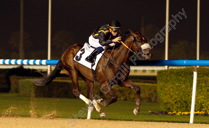 Claim-The-Roses-0003 
 CLAIM THE ROSES (Mickael Barzalona) wins The BGA Billets Trophy Handicap Meydan 25 Jan 2018 - Pic Steven Cargill / Racingfotos.com